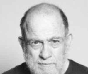 דן בן ארי